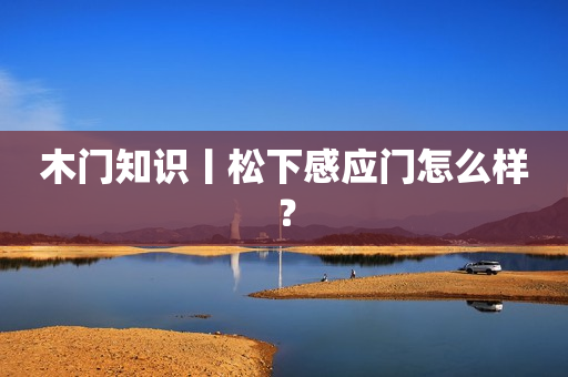 木门知识丨松下感应门怎么样？