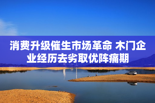 消费升级催生市场革命 木门企业经历去劣取优阵痛期