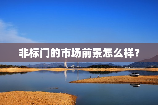 非标门的市场前景怎么样？