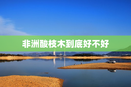 非洲酸枝木到底好不好