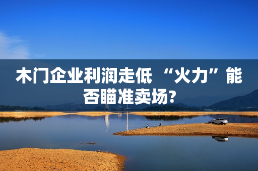 木门企业利润走低 “火力”能否瞄准卖场?