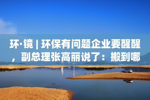 环·镜 | 环保有问题企业要醒醒，副总理张高丽说了：搬到哪儿都没用