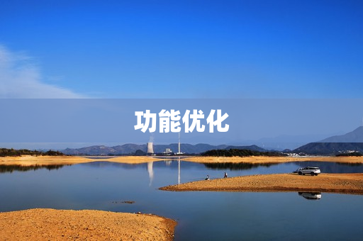 功能优化