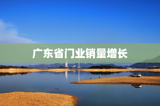 广东省门业销量增长