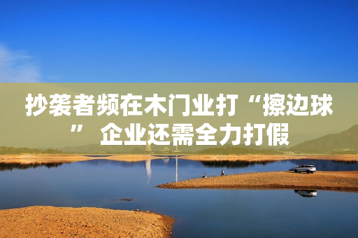 抄袭者频在木门业打“擦边球” 企业还需全力打假