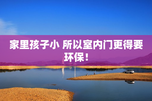 家里孩子小 所以室内门更得要环保！