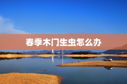 春季木门生虫怎么办