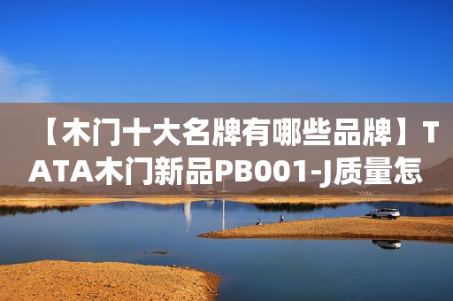 【木门十大名牌有哪些品牌】TATA木门新品PB001-J质量怎么样?