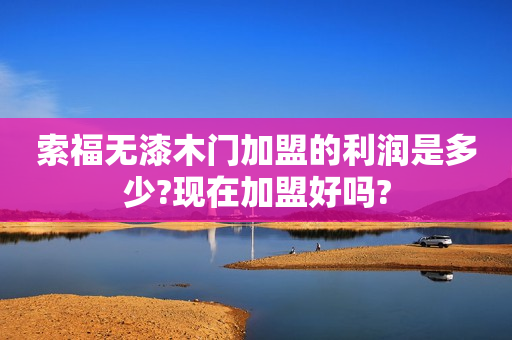 索福无漆木门加盟的利润是多少?现在加盟好吗?