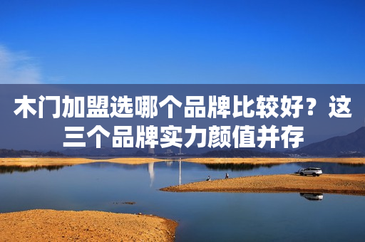 木门加盟选哪个品牌比较好？这三个品牌实力颜值并存