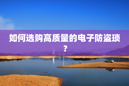 如何选购高质量的电子防盗琐？