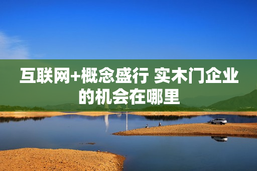 互联网+概念盛行 实木门企业的机会在哪里