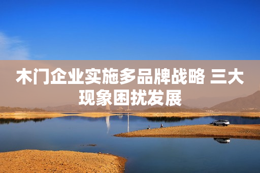 木门企业实施多品牌战略 三大现象困扰发展