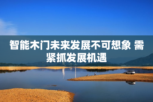 智能木门未来发展不可想象 需紧抓发展机遇