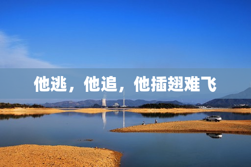 他逃，他追，他插翅难飞