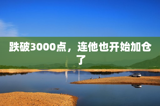 跌破3000点，连他也开始加仓了