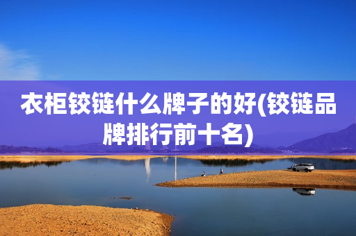衣柜铰链什么牌子的好(铰链品牌排行前十名)