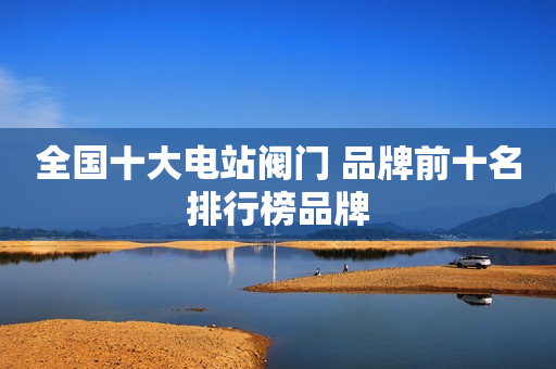 全国十大电站阀门 品牌前十名排行榜品牌