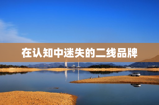 在认知中迷失的二线品牌