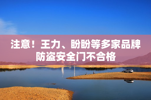 注意！王力、盼盼等多家品牌防盗安全门不合格