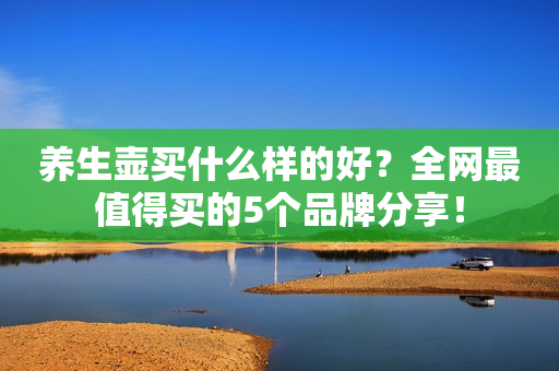 养生壶买什么样的好？全网最值得买的5个品牌分享！