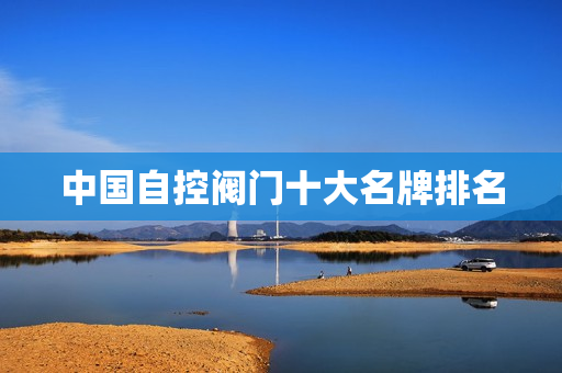中国自控阀门十大名牌排名