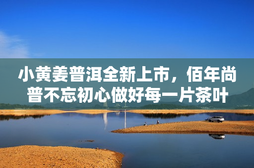 小黄姜普洱全新上市，佰年尚普不忘初心做好每一片茶叶