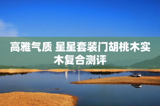 高雅气质 星星套装门胡桃木实木复合测评