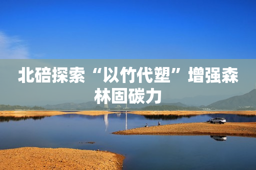 北碚探索“以竹代塑”增强森林固碳力