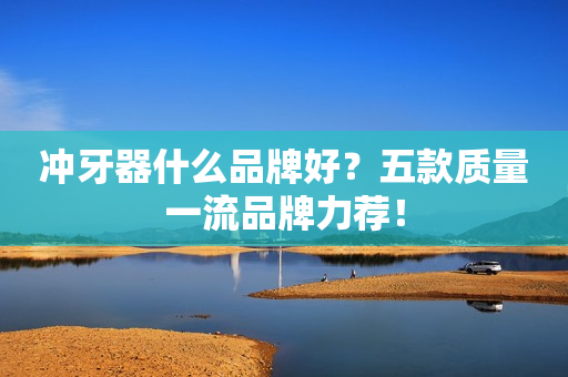 冲牙器什么品牌好？五款质量一流品牌力荐！