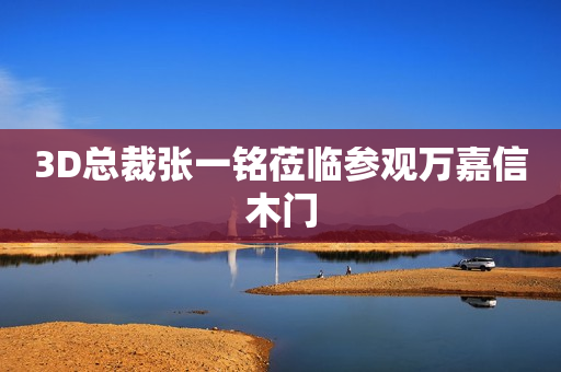 3D总裁张一铭莅临参观万嘉信木门