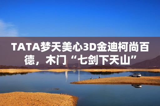 TATA梦天美心3D金迪柯尚百德，木门“七剑下天山”