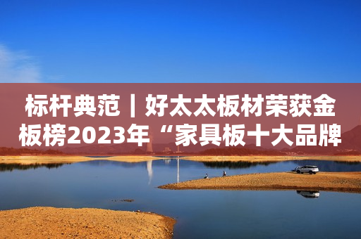 标杆典范｜好太太板材荣获金板榜2023年“家具板十大品牌”