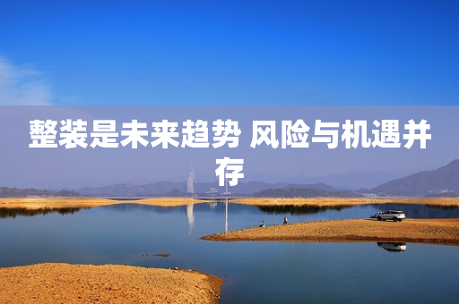 整装是未来趋势 风险与机遇并存