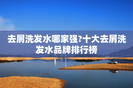 去屑洗发水哪家强?十大去屑洗发水品牌排行榜