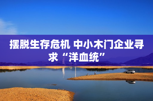 摆脱生存危机 中小木门企业寻求“洋血统”
