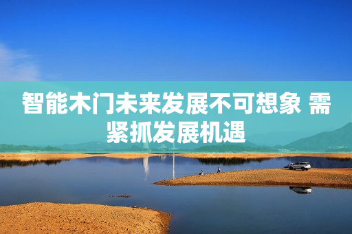 智能木门未来发展不可想象 需紧抓发展机遇
