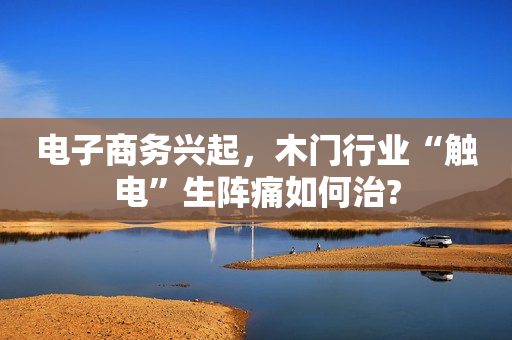 电子商务兴起，木门行业“触电”生阵痛如何治?
