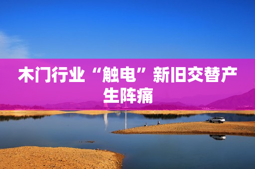 木门行业“触电”新旧交替产生阵痛