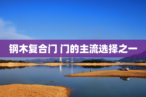 钢木复合门 门的主流选择之一
