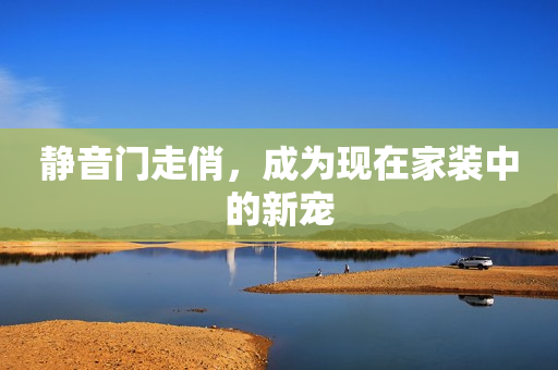 静音门走俏，成为现在家装中的新宠
