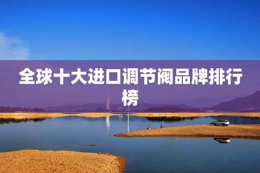全球十大进口调节阀品牌排行榜