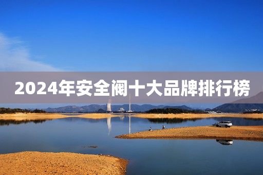 2024年安全阀十大品牌排行榜