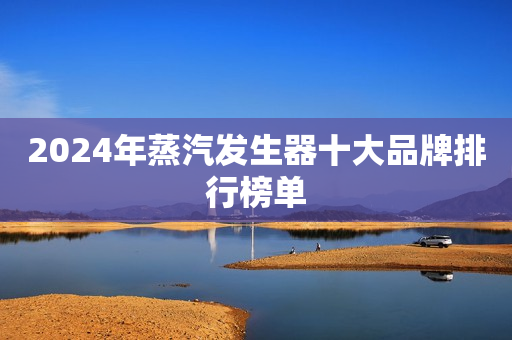 2024年蒸汽发生器十大品牌排行榜单