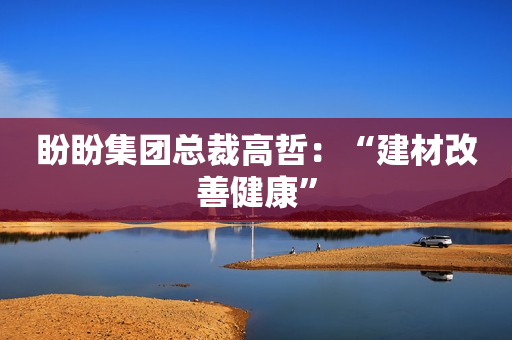 盼盼集团总裁高哲：“建材改善健康”