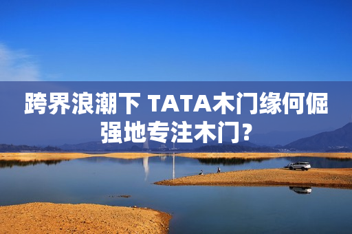 跨界浪潮下 TATA木门缘何倔强地专注木门？