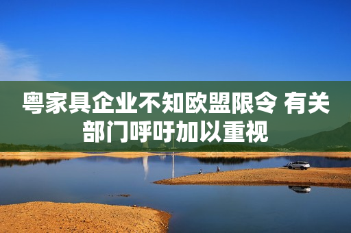 粤家具企业不知欧盟限令 有关部门呼吁加以重视