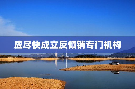应尽快成立反倾销专门机构
